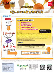 siRNA与Ago2_中文单页排版_20190122.jpg