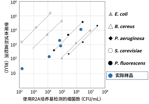 检测示例-中文（600px）.jpg